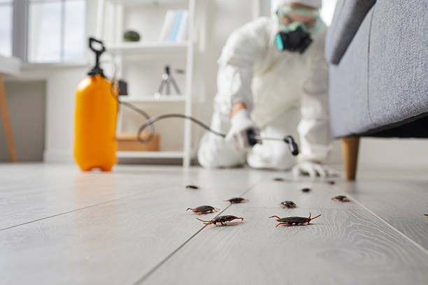 Commercial Kitchen Cockroach Control in Carson